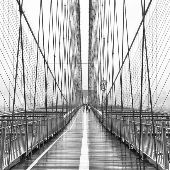brooklyn362